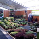 GrootGroenPlus-2015-(002)-s